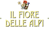 BB Alpe Devero Il Fiore delle Alpi