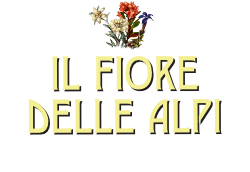 B&B Il Fiore delle Alpi