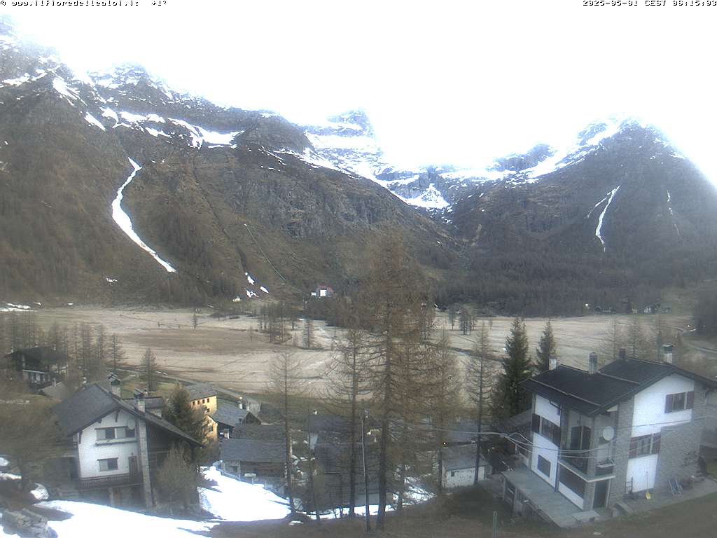 Webcam